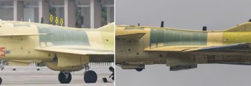 JZ-10C or recce J-10C or whatever vs J-10C.jpg