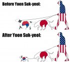 Yoon the good doggie.jpg