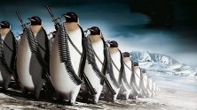 army-humor-penguins-wallpaper-preview.jpg