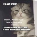 meowpoland.jpeg