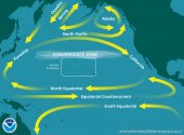 PacificOceanCurrents_Hawaii_NOAAMDP_0-2805162412_99.jpg