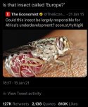 europe the insect.JPG