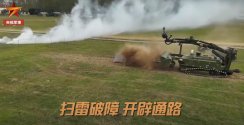 mine clearing 2.jpg