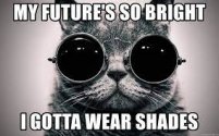 Today is #NationalSunglassesDay! Make... - Prevent Blindness | Facebook