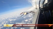 J-11BHG + PL-10 STC - 沉默的山羊 - 9 best.jpg