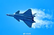 J-20 x9131 - aka 82 or 182. Brig - 萌虎鲸 - strange.jpg