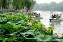 ~Lotus.Festival.Shandong.4.jpg