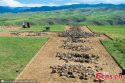 ~Xinjiang.Mori.Kazakh.tombs.2.jpg