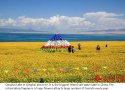 ~Summer.resort.9.Qinghai.Lake.Qinghai.jpg