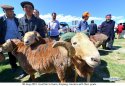 ~Hami.Goat.Fair.Xinjiang.1.jpg