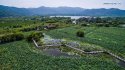 ~Lotus.harvesting.Tuying.village.Changxing.Zhejiang.3.jpg