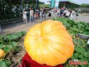 ~Changchun.Agri.Expo.Jilin.2.jpg