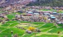 Tibet.Nyinchi.county.2.jpg