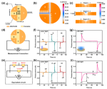 25cbaf148b717922bcde2ecbee76143d (1).png