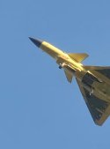 J-10C + strange cn. 0210 maybe a CE - 齐天的孙猴子.jpg