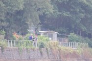 IMG_4768.jpeg
