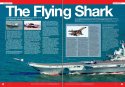 AI 1.16 - J-15 Flying Shark.jpg