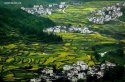 Terrace-fields.(2).Jiangling-village,Wuyuan-County,Jiangxi_31Mar2015.jpg