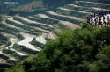 Terrace-fields.(12).Yunhe-County,Zhejiang_5Apr2015.jpg