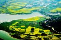 Wanli-district,Nanchang,Jiangxi.(1).rape-flower-fields.jpg