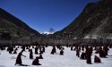 Labu-monastery,Yushu-prefecture,Qinghai.(1).monks-debate.jpg