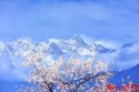 Mount-Namjagbarwa,Nyingchi-Prefecture,Tibet.(1).jpg