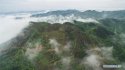 Longchi-mountain,Junlian-County,Sichuan.(4).tea-plantation,27Apr2016.jpg