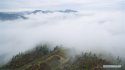 Longchi-mountain,Junlian-County,Sichuan.(5).tea-plantation,27Apr2016.jpg