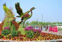 Tangshan-Horticultural-Expo-2016.(6).floral-statues.jpg