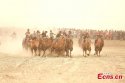 Dawakun-Desert,Yuepuhu-county,Xinjiang.(3).riding-camels.jpg