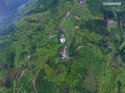 Tea-plantations-around-Sangyuan-reservoir,Fuding,Fujian.(2).8May2016.jpg