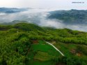 Tea-plantations-around-Sangyuan-reservoir,Fuding,Fujian.(3).8May2016.jpg