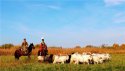 Xinjiang,Tacheng-prefecture.(4).Tuoli-county.29Sep2014.jpg