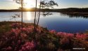 Arxan-Mountain,Inner-Mongolia.(4).Cuckoo-Lake.27May2016.jpg