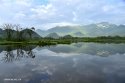 Dajiu-Lake(Nine Lakes),Shennongjia,Hubei.(7).Jun2016.jpg