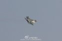 FC-31V2 maiden flight - 23.12.16 - 1 xl.jpg