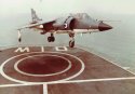 sea harrier copy.jpg