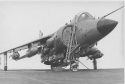 Sea Harrier.PNG