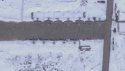 North Korean Il-28 -H-5s covered in snow - 2.jpg