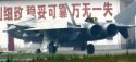 J-20 29.6.11 - all bays open.jpg