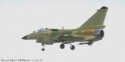 J-10BS in primer - 2.11.11 - maybe psed.jpg