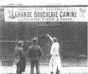 Grande_Boucherie_Canine_a_Paris.jpg