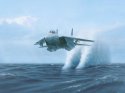 f-14_tomcat.jpg