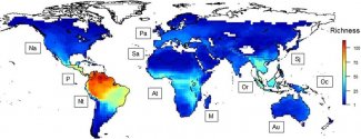 Global-pattern-of-bat-species-richness-Legend-corresponds-to-the-number-of-bat-species.jpg