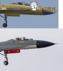 J-11D front vs J-11B.jpg