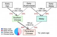 Peranakan DNA.jpg