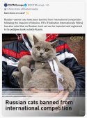 russian cats banned 1.JPG