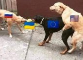 EU - dogs.jpg