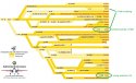 Flanker development chart.jpg