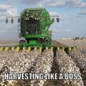 Farm_Meme_8-300x300.jpg